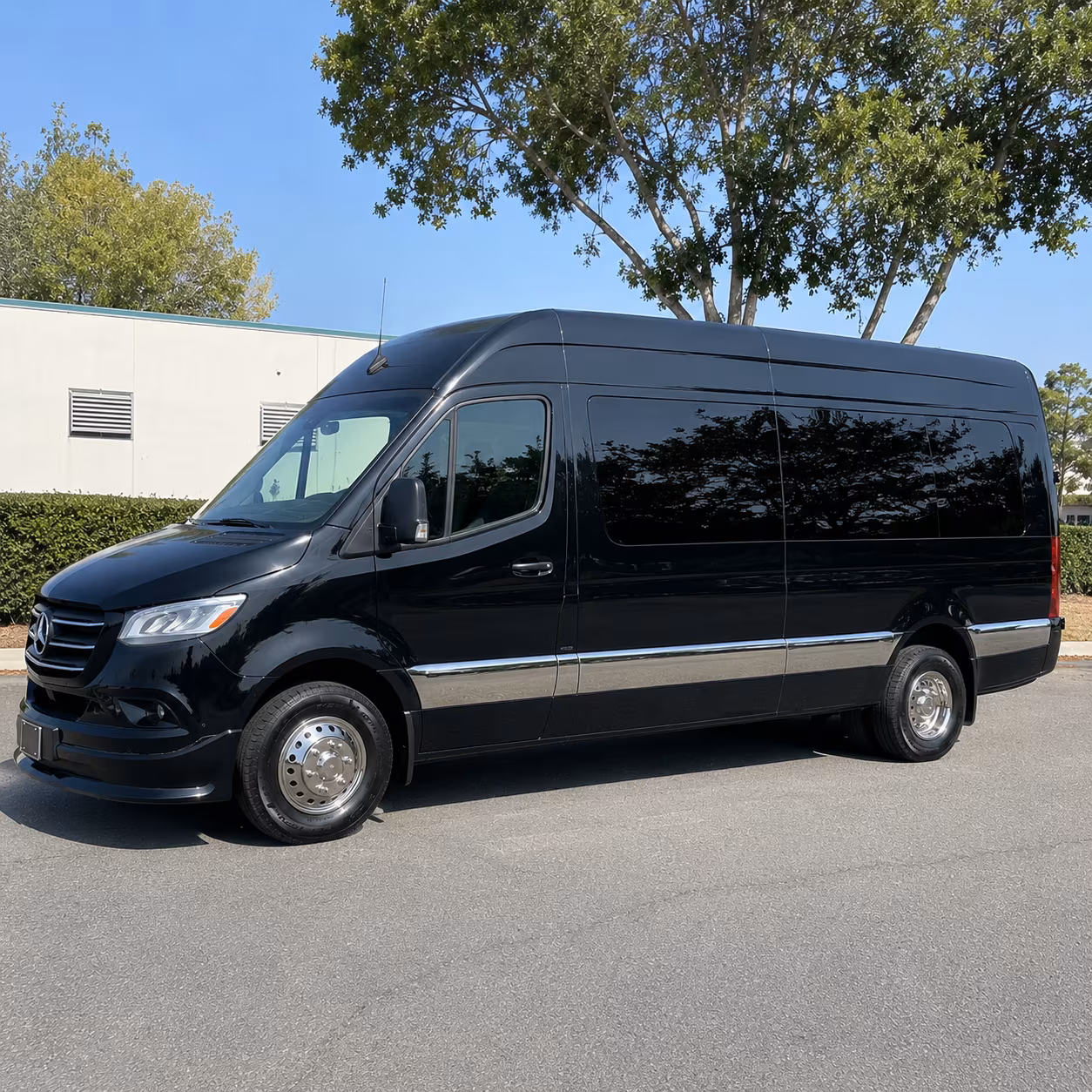 Mobile Birthday Transportation